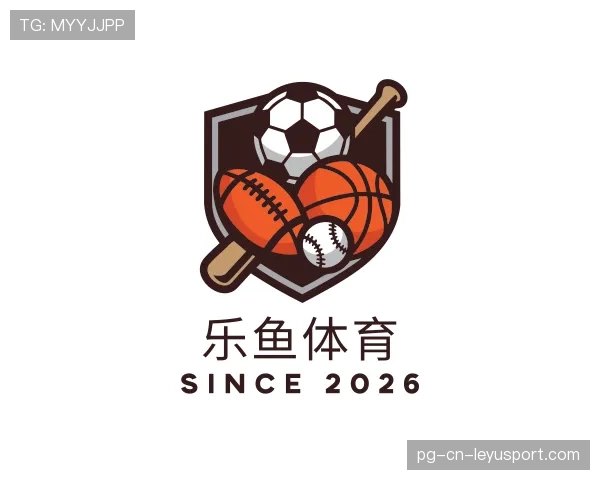 认识2026世界杯最新入口